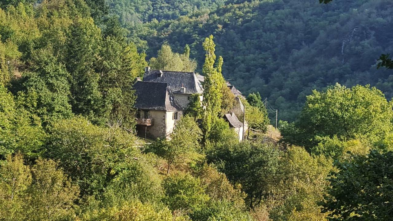 La Maisonnette Entraygues-sur-Truyère Exterior foto